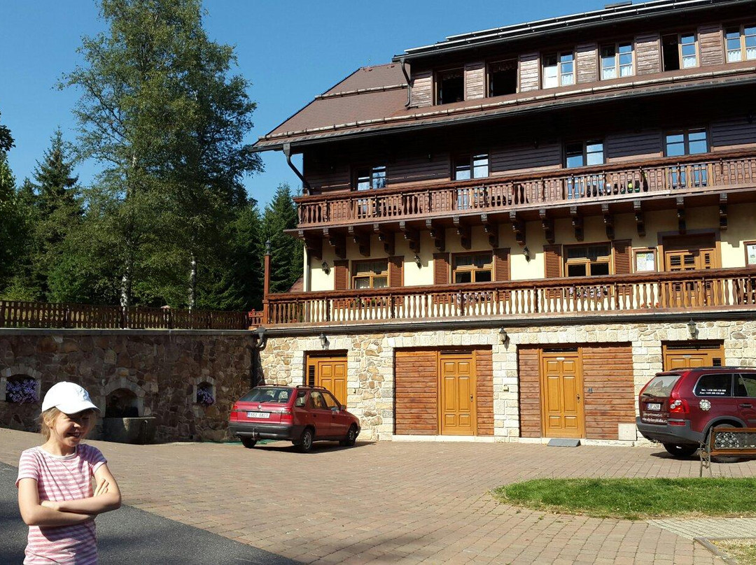 Kvilda酒店住宿-Hotel Alpska Vyhlidka
