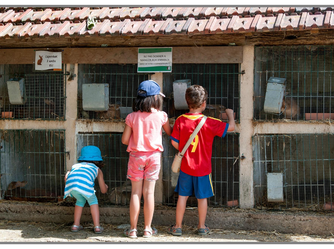 Ferme d'Ecancourt景点图片