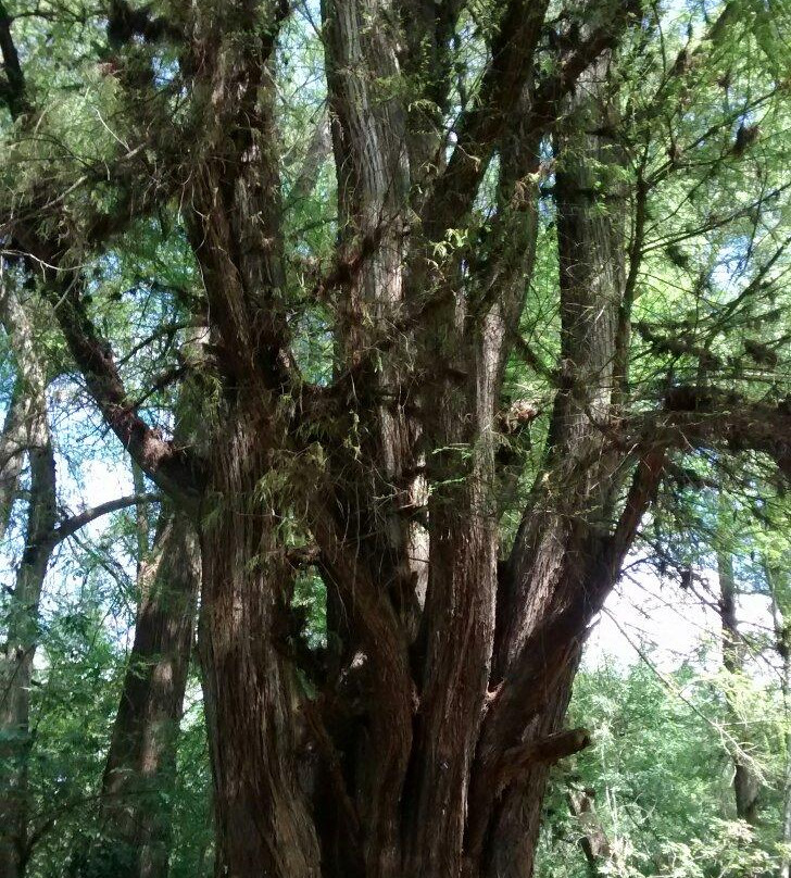 La Cienega de Tlaxcala-Ayotlan必去景点