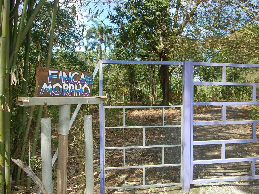 Finca Morpho景点图片