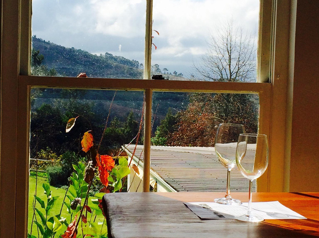 Camberley Wines-斯泰伦博斯必去景点