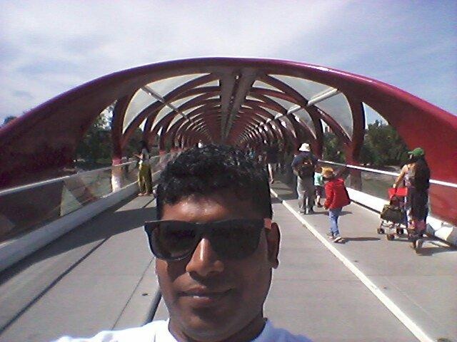 Peace Bridge-卡尔加里必去景点
