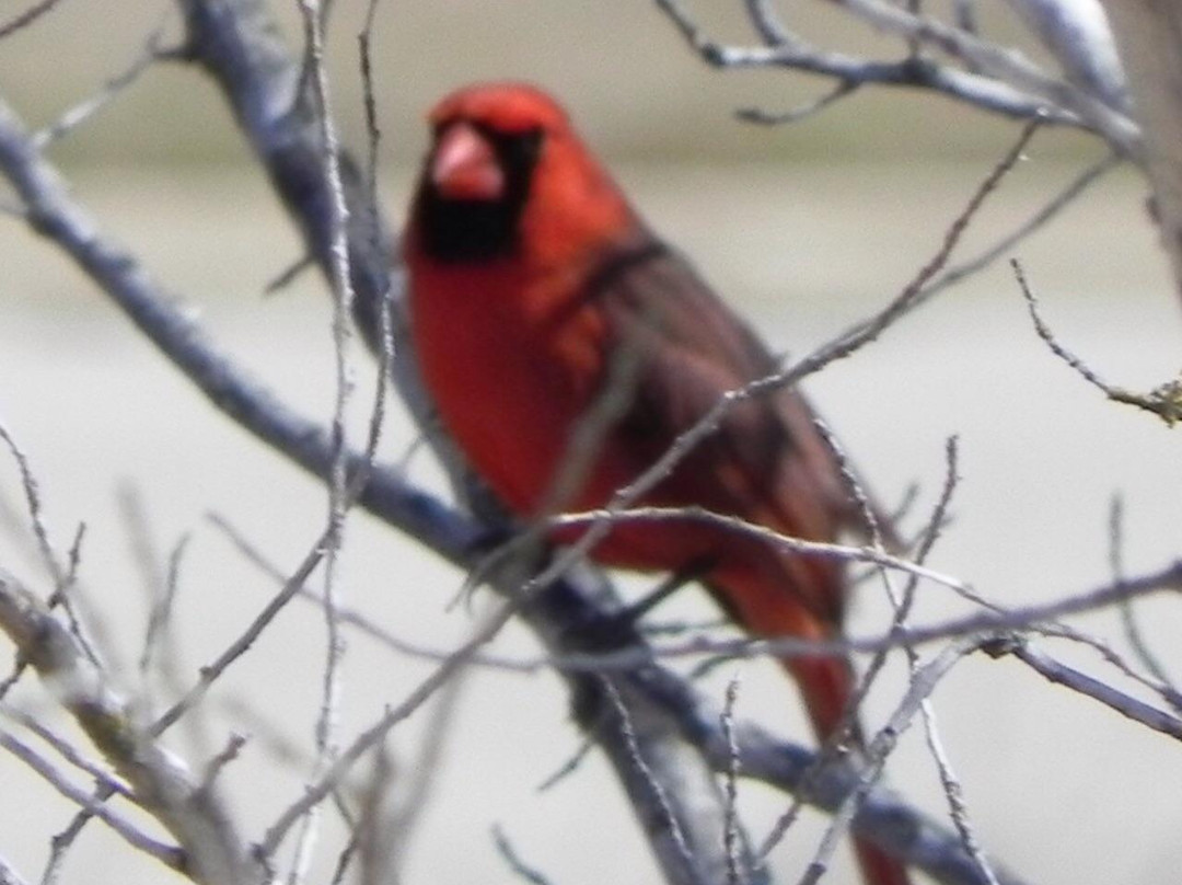 Pier 27 River Lounge-克尔维尔必去景点