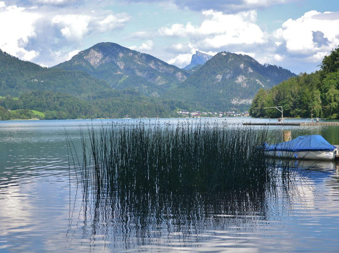Fuschlsee Rundweg景点图片