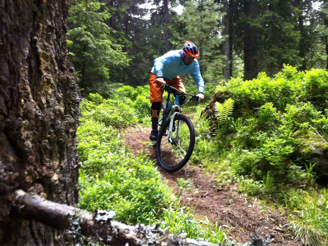 Mountain Masters Borovets - Day Tours-波罗维兹必去景点
