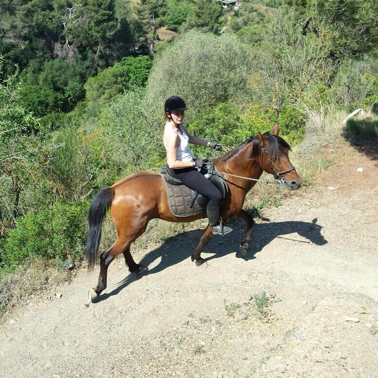 Cabalgando Hacia lo Salvaje-巴塞罗那必去景点