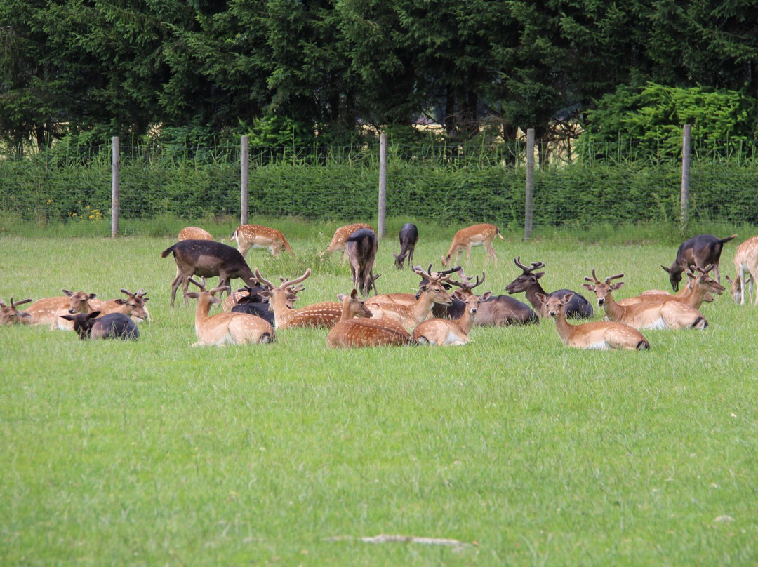 Tierpark Rosegg-Rosegg必去景点