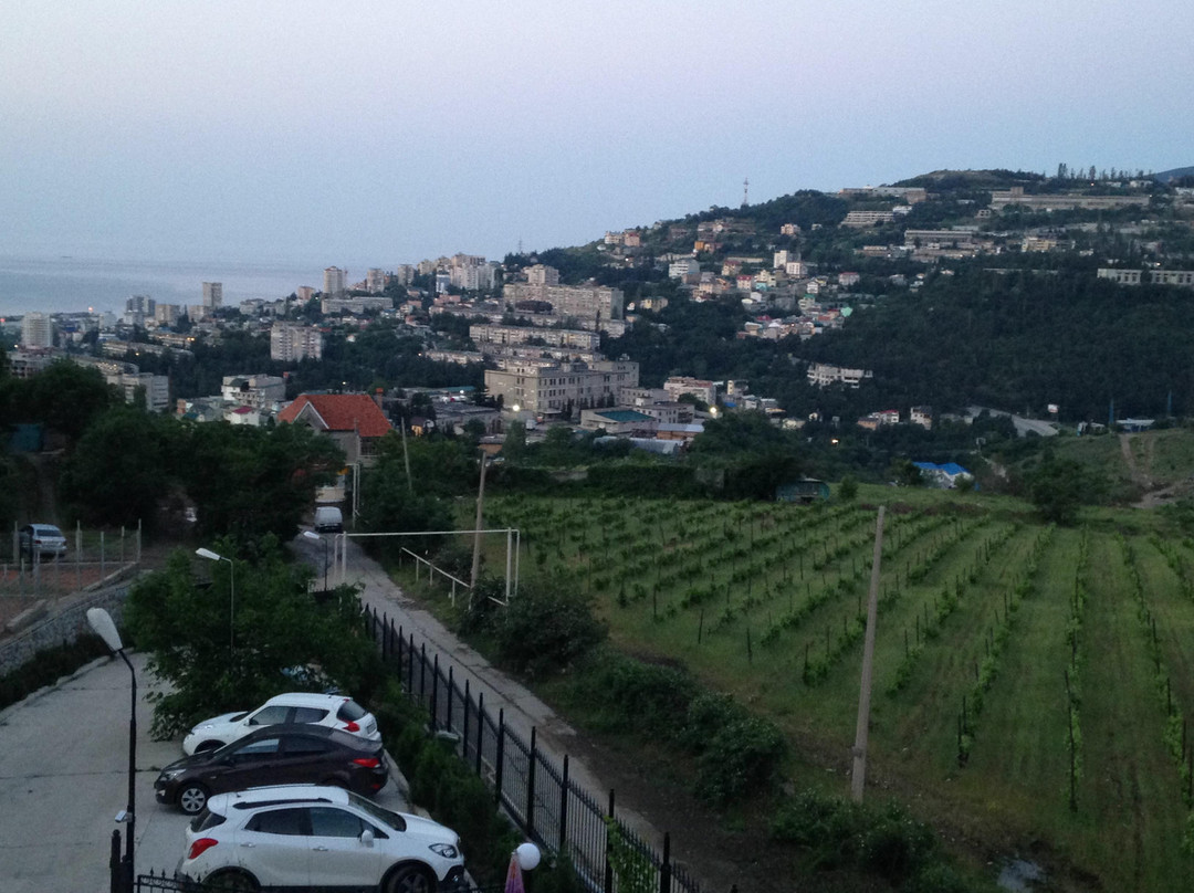 Villa Svetlana主图