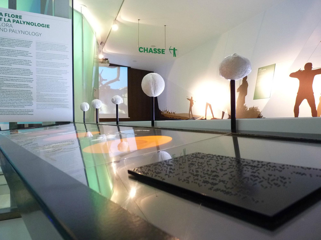 SauveTerre Musée de Préhistoire景点图片