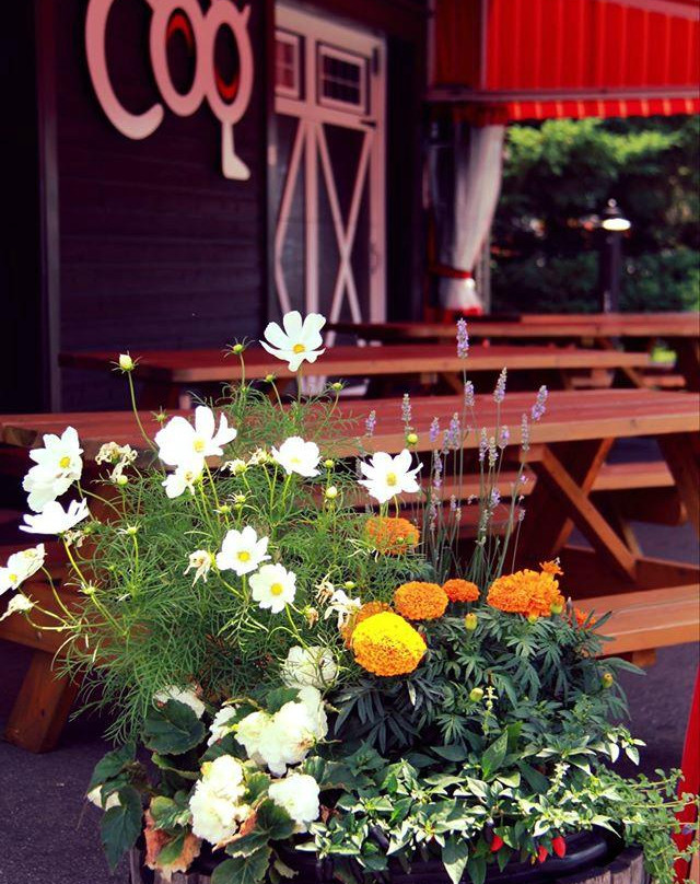 Theatre du Coq-Sainte-Perpetue必去景点