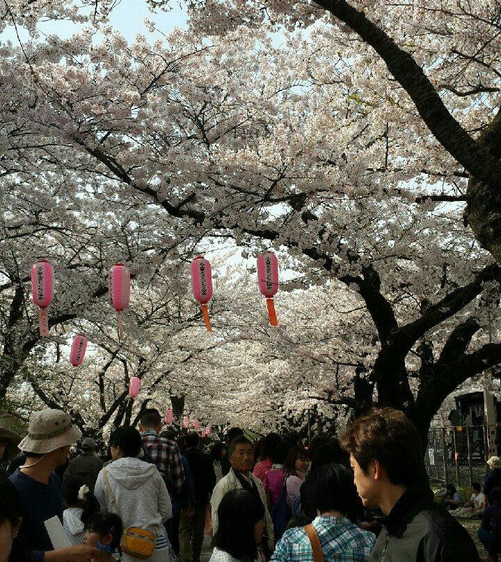 Tenshochi Park-北上市必去景点