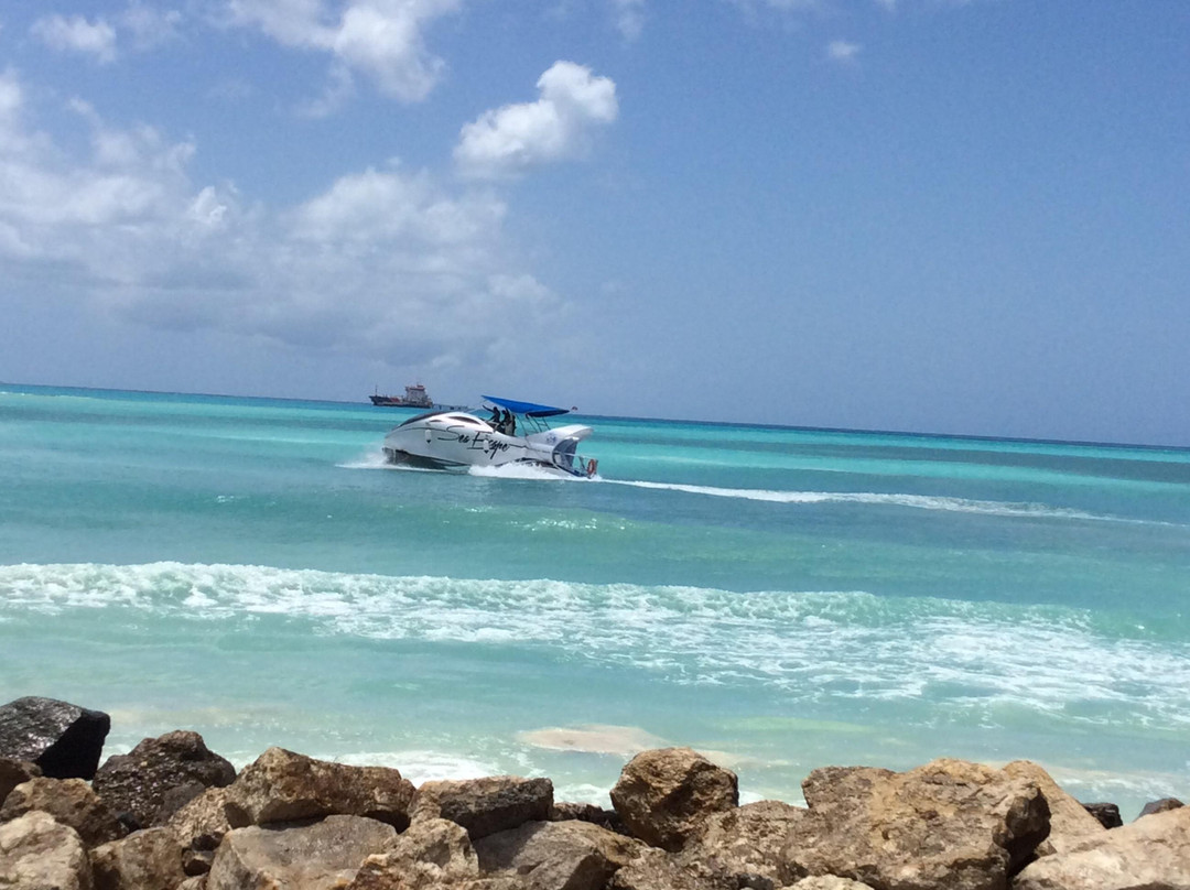 Sea Escape Tours-乔治城必去景点