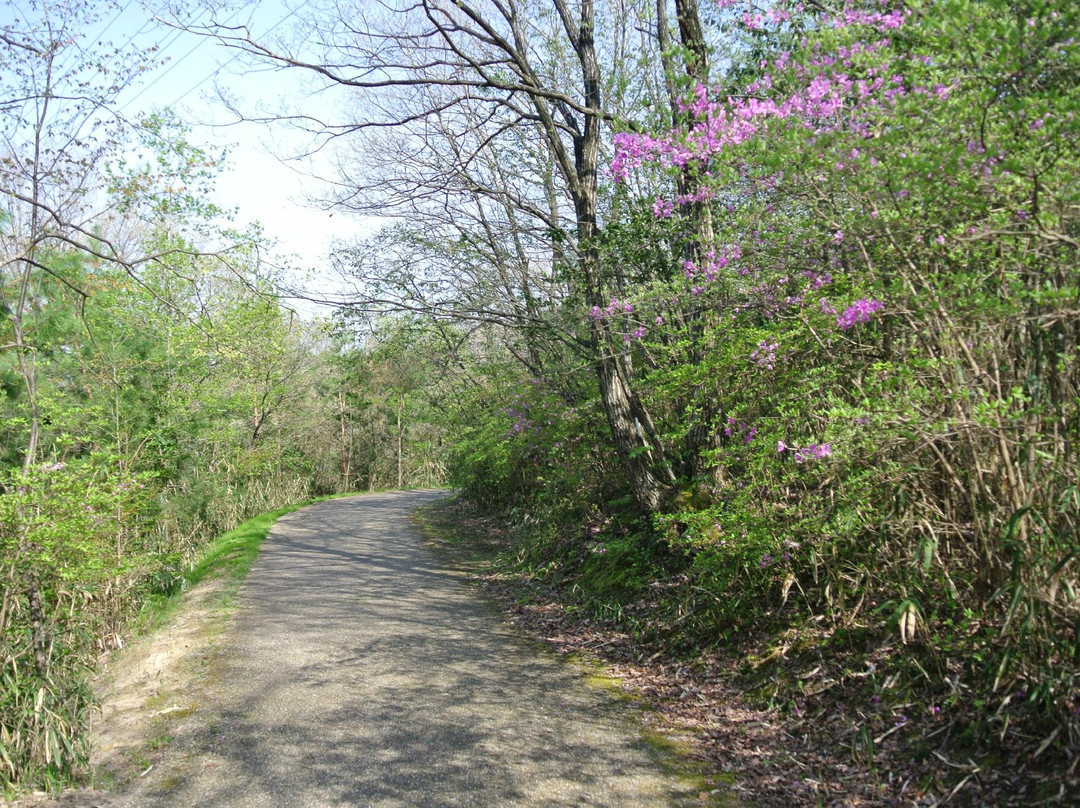 Mie-ken Ueno Forest Park景点图片