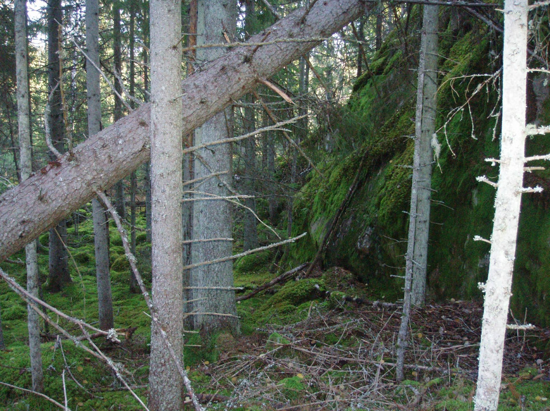 Gronudde Naturreservat-Vena必去景点