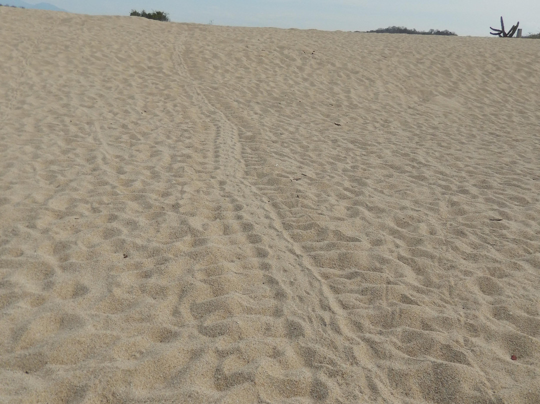 Easy Bikes Huatulco-Crucecita必去景点