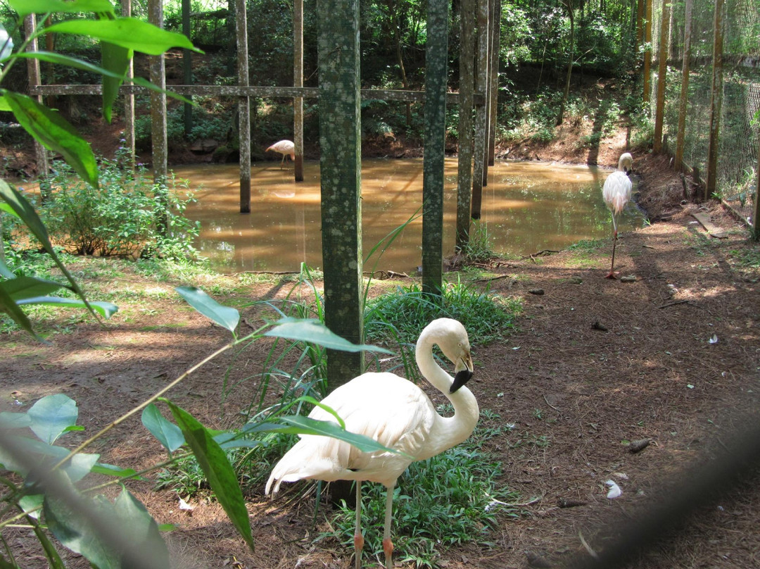 Zoo Bal Park景点图片