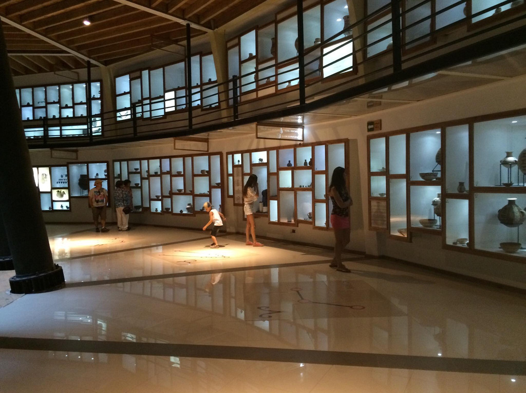 Museo de los Volcanes-耐尔杜美必去景点