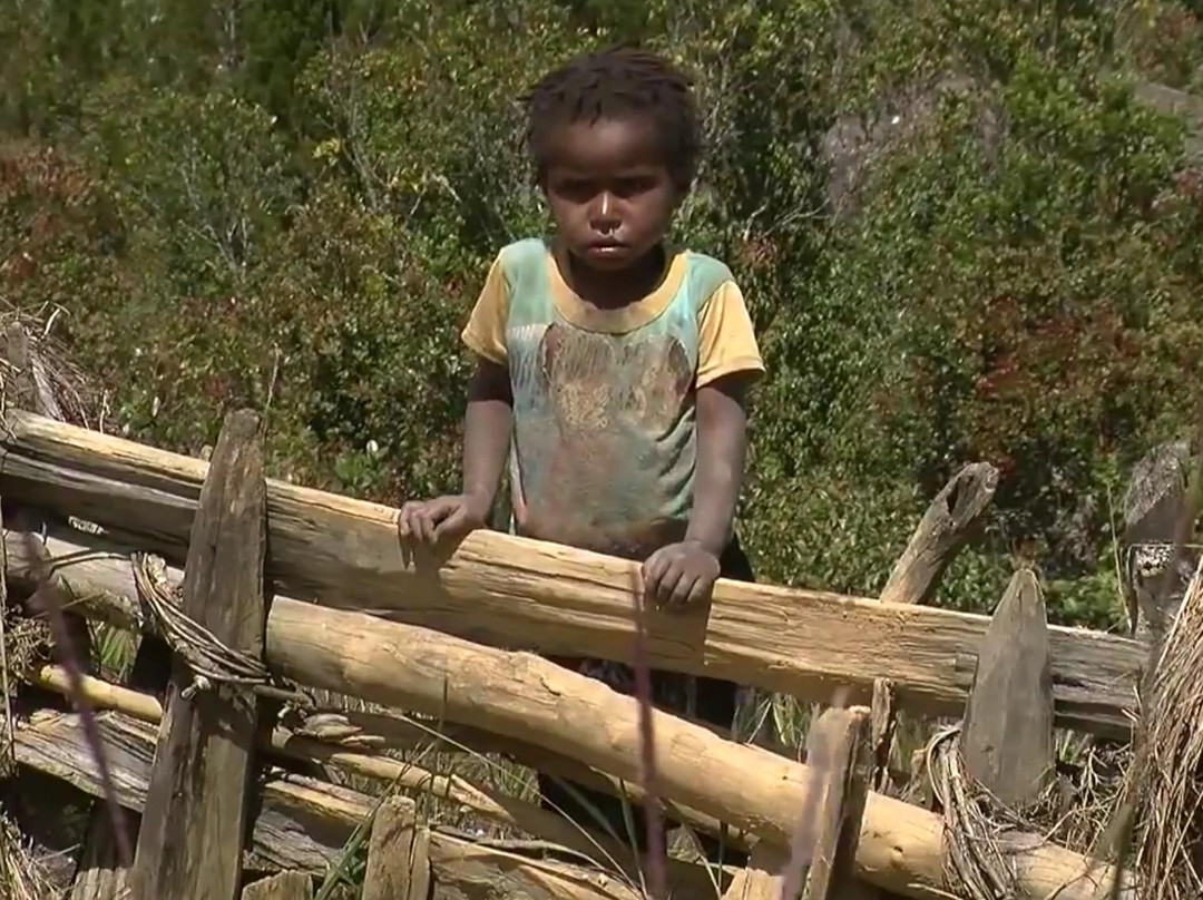 Traditional Village of Wamerek-瓦梅纳必去景点
