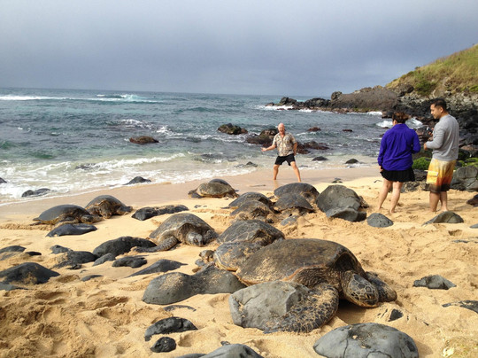 Maui Paradise Tours-海库必去景点