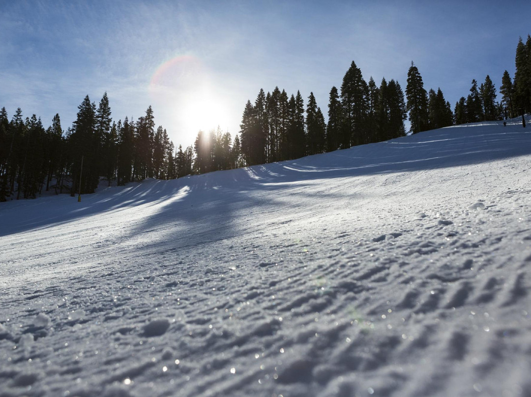 Granlibakken Ski & Sled Hill-塔霍城必去景点