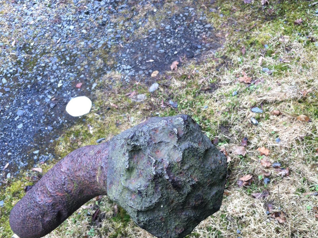 Tours By Town Car-哈利法克斯必去景点