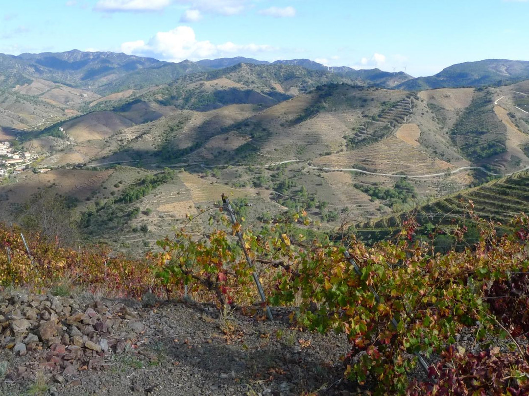 Oficina de Turisme del Priorat景点图片