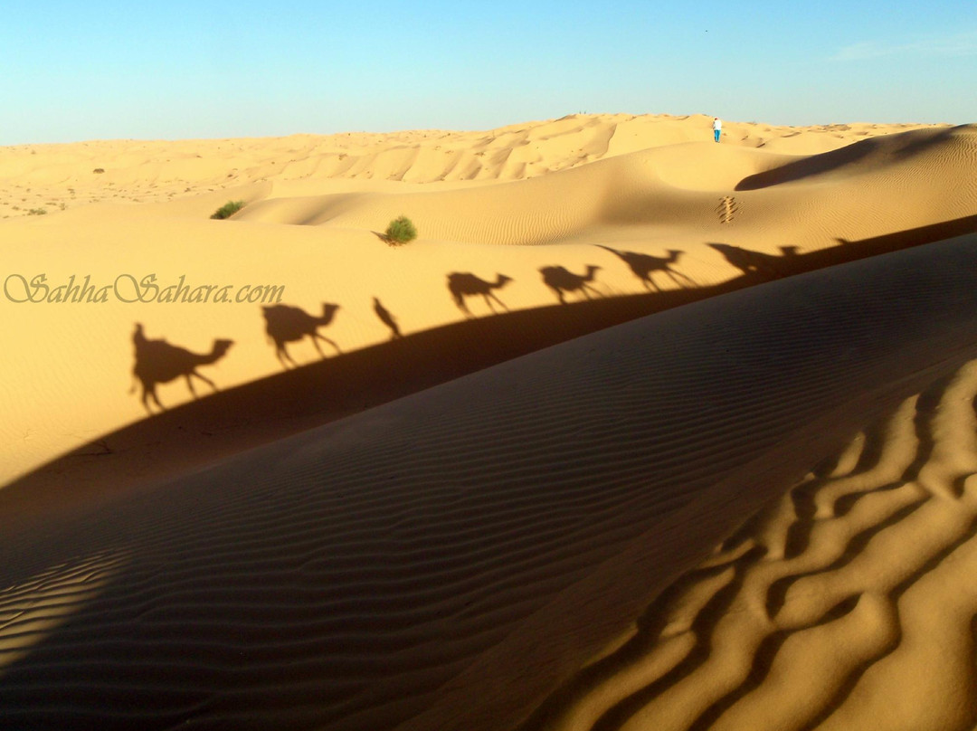 Sahha Sahara-杜兹必去景点