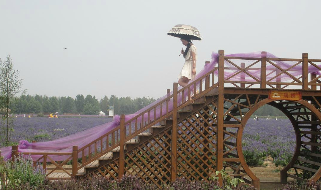 紫海香田薰衣草庄园-石家庄市必去景点