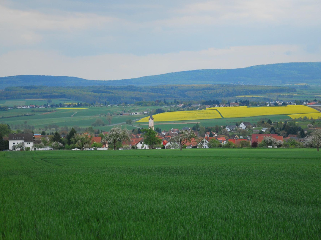 Landgasthof Eschbacher Katz主图