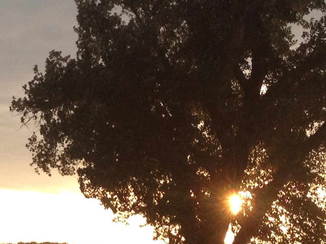 Riviera Beach-日内瓦湖必去景点