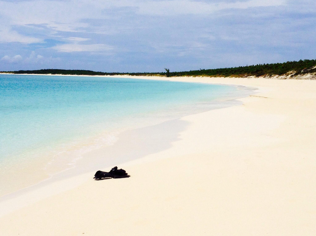 Conception Island National Park-Rum Cay必去景点