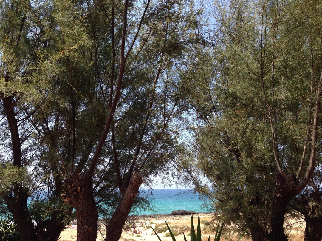 Spiaggia Marina Di Mancarversa-Taviano必去景点