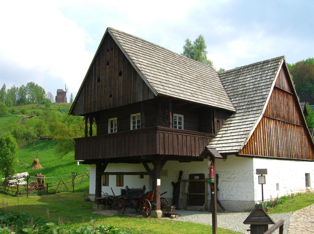 Skansen W Pstraznej景点图片