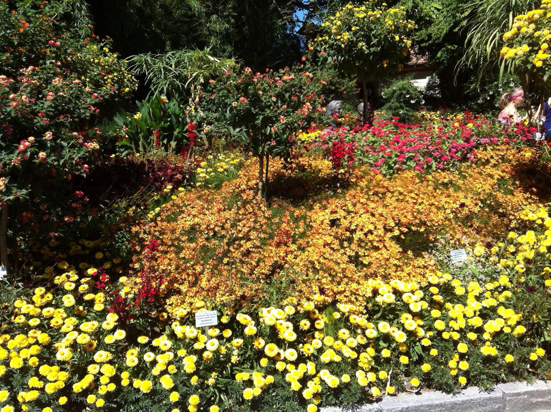 Mainau Erlebniswald-康士坦茨必去景点
