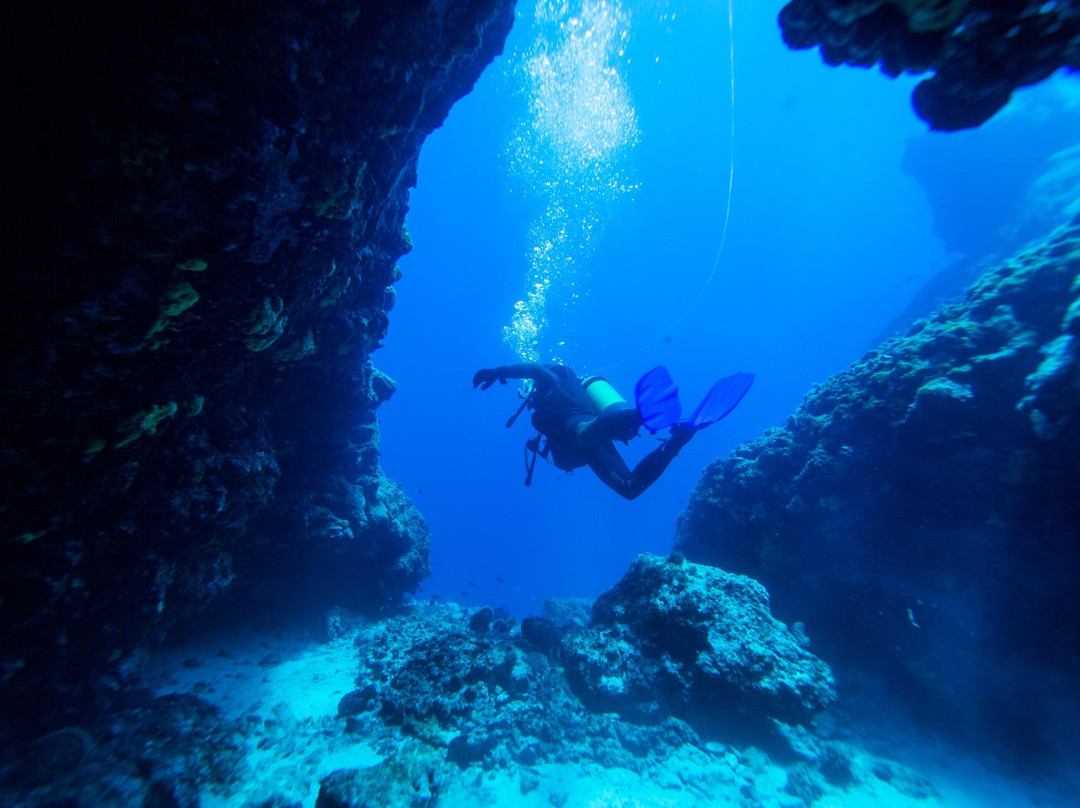 Skopelos Dive Center景点图片
