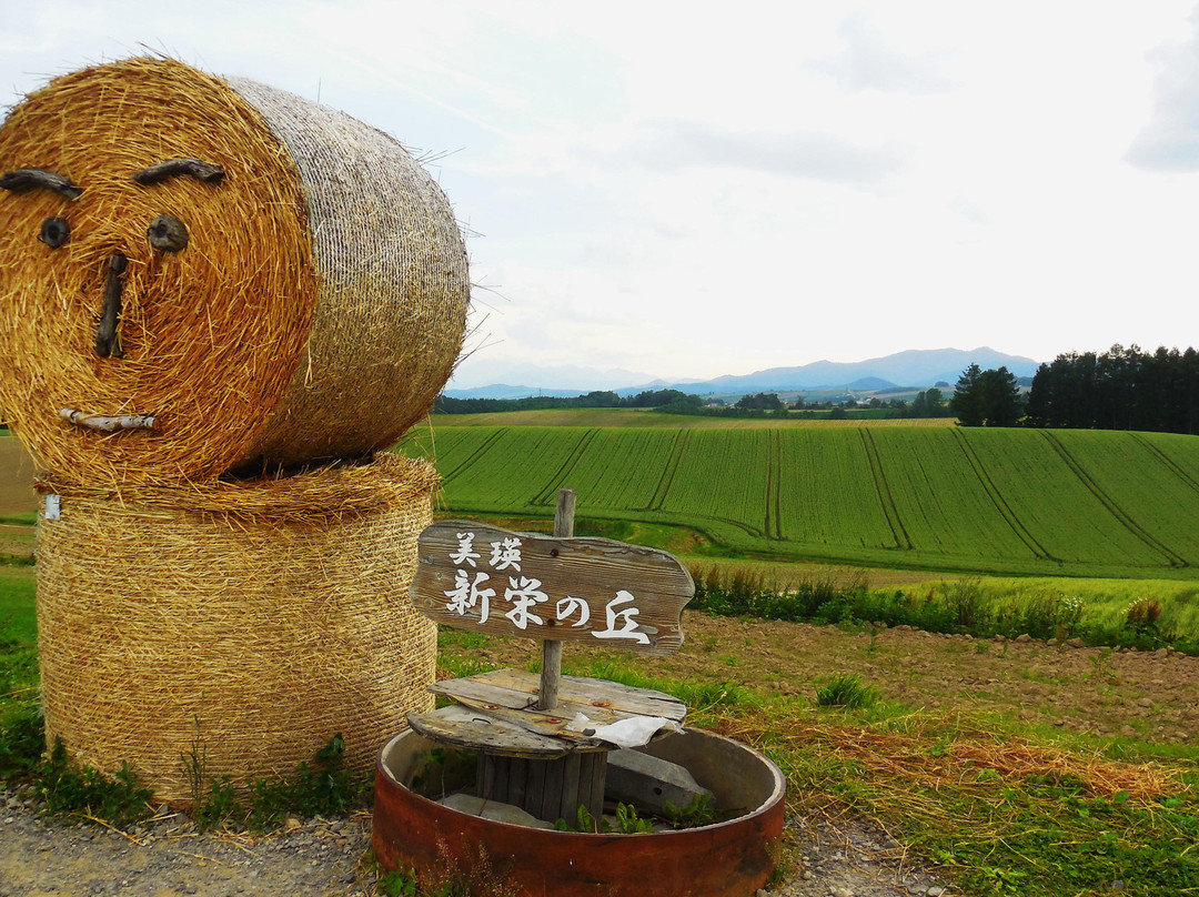 Shinei no Oka Tenbo Koen-美瑛町必去景点