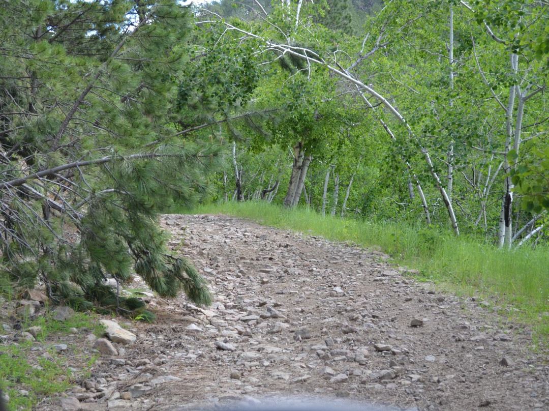 Mad Mountain Adventures at Rec Springs-Lead必去景点