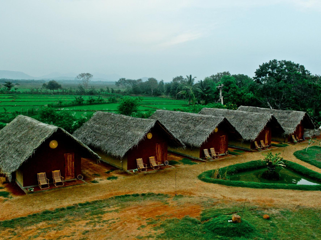 Mahasenpura酒店住宿-可爱蜜蜂酒店