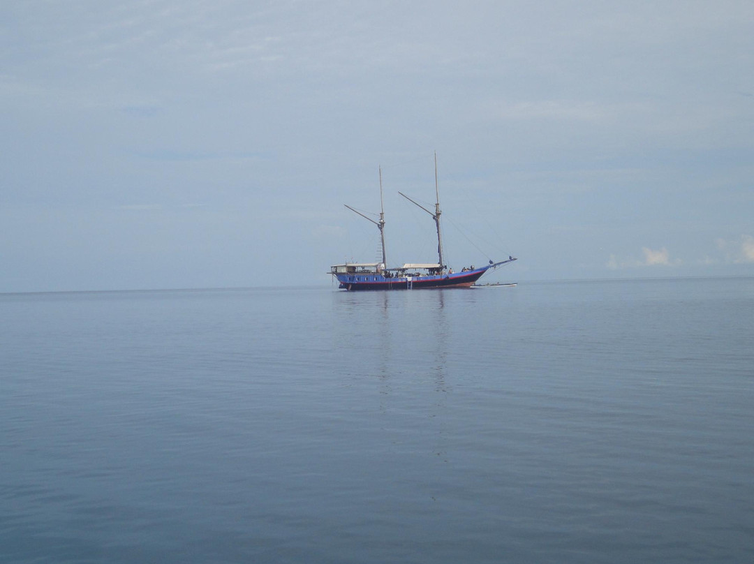Wicked Diving Raja Ampat-索龙必去景点