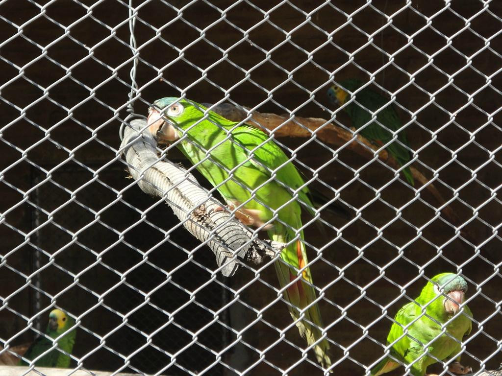 Parque Zoo-botanico da Caatinga-Petrolina必去景点