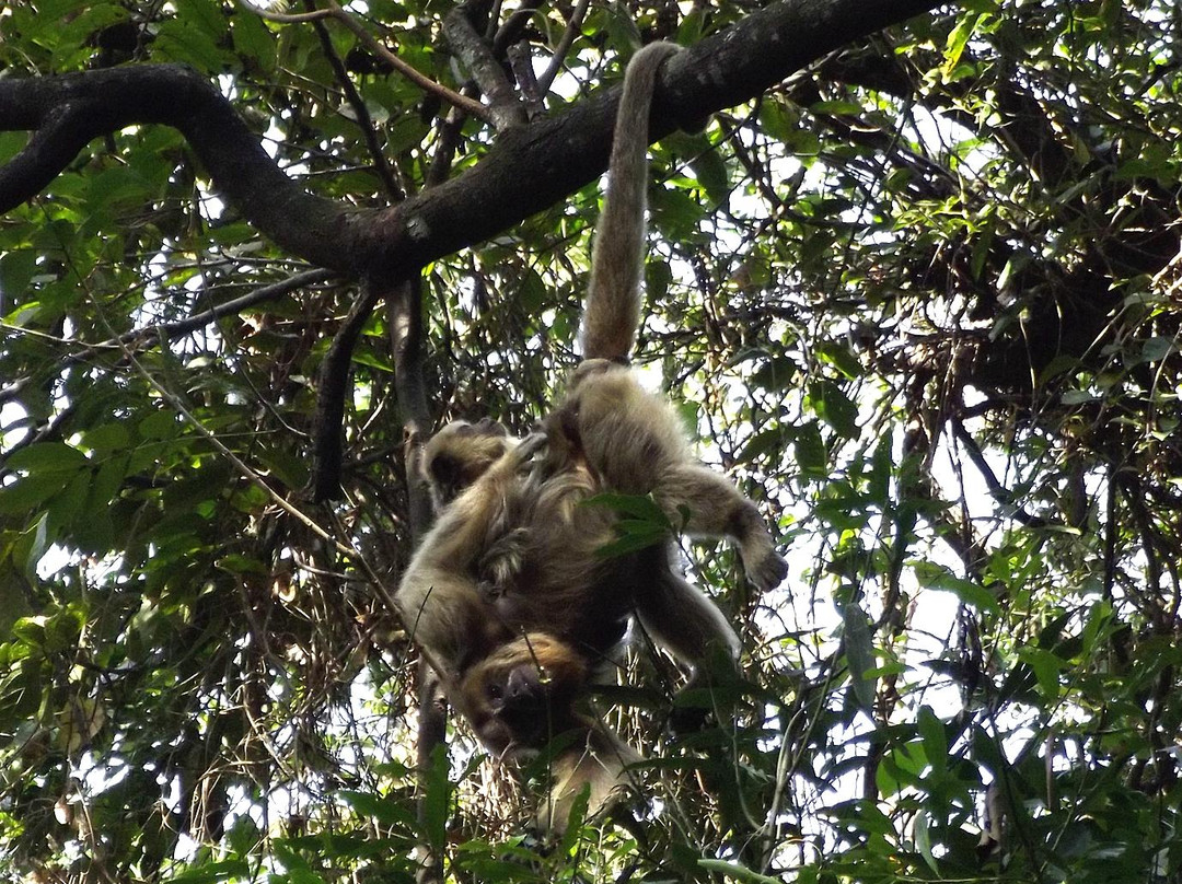 Parque Ecologico Do Matao-沃特兰亭必去景点