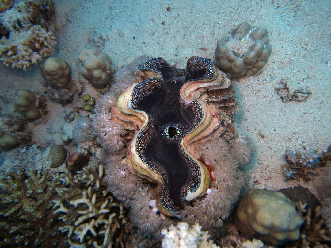 Scuba Diving North West景点图片