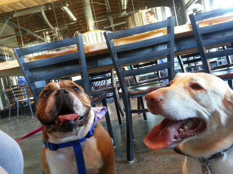 Triple C Brewing Company主图