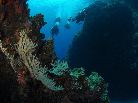 GoDive浮潜-兰塔岛必去景点