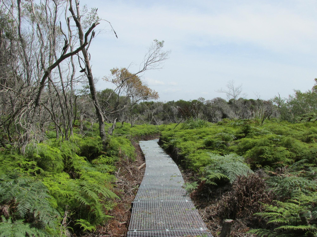 Sydney Coast Walks景点图片