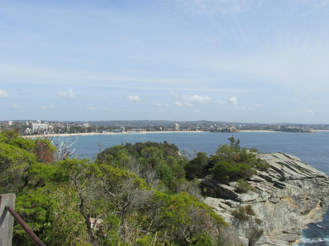 Sydney Coast Walks-悉尼必去景点
