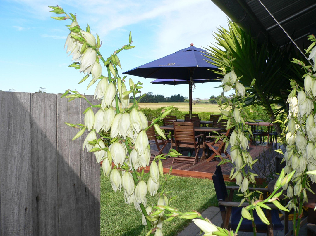 Te Awanga Estate Vineyard景点图片