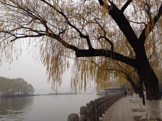 大明湖公园-济南市必去景点