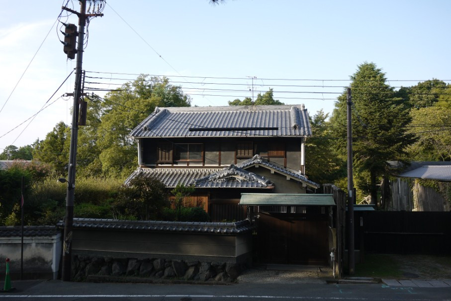 奈良公园-奈良市必去景点