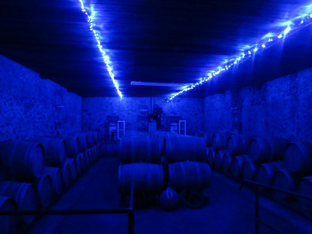 Chateau Franc Laporte-Saint-Christophe-Des-Bardes必去景点